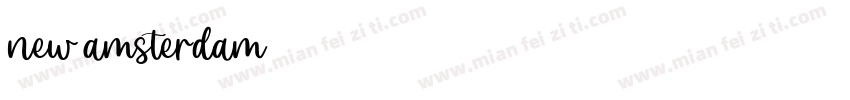 new amsterdam字体转换